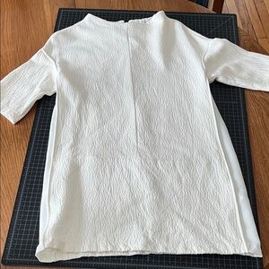 Zara Basic Cream Short Sleeve mod dress large